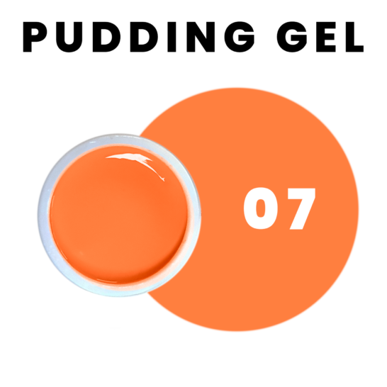 Pudding Gel 07 Orange Facile à Appliquer de Princess Paris 6g
